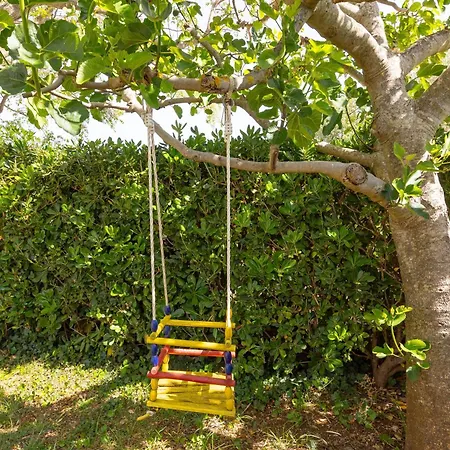 Perinic, No 2 * Vrsi